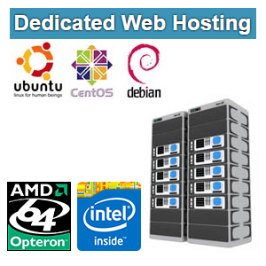 Dedicated Web Hosting